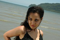 Nisha Kothari Latest Spicy Photos